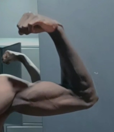 Perfil de Imad-eddine