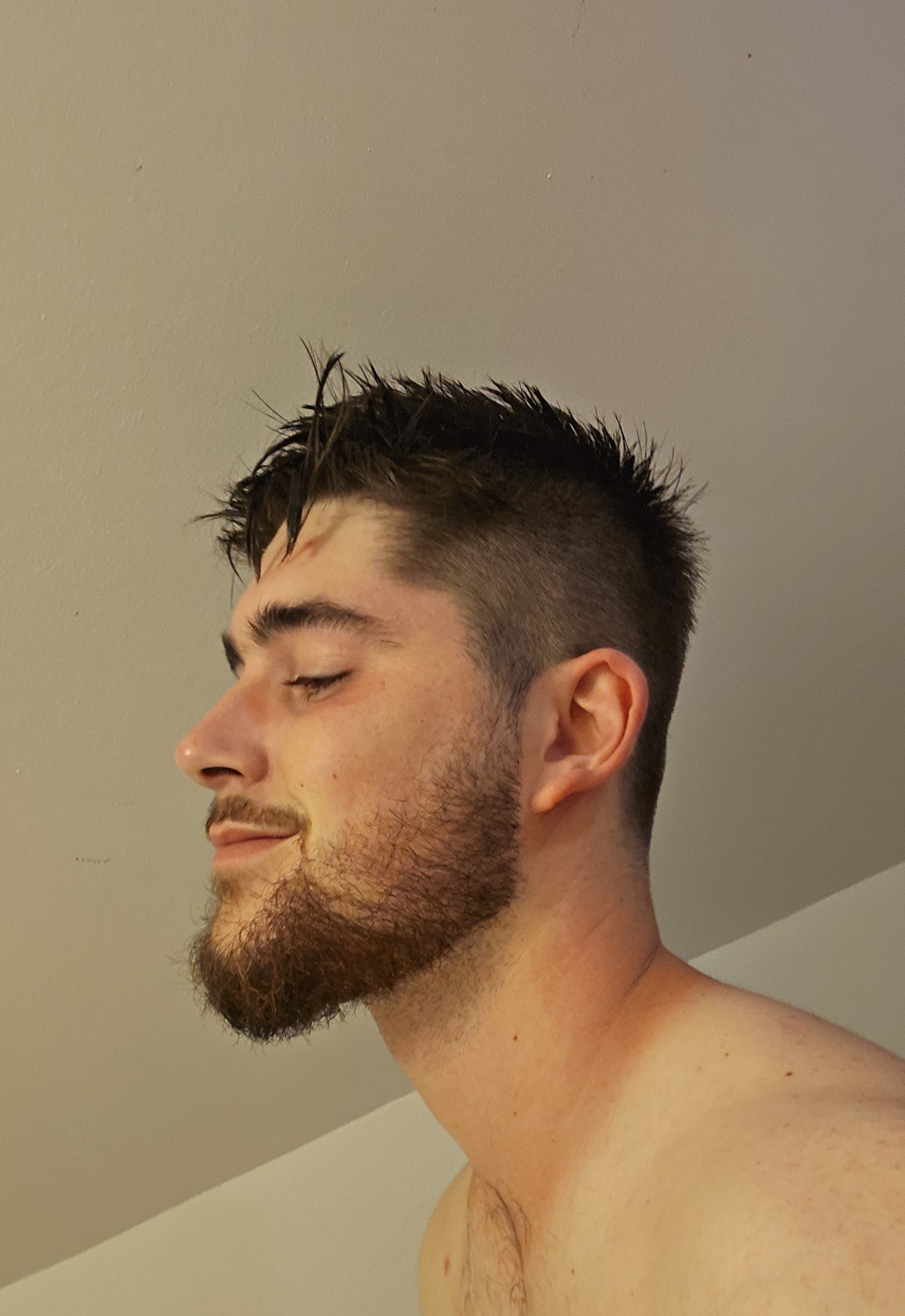 Perfil de Laurian