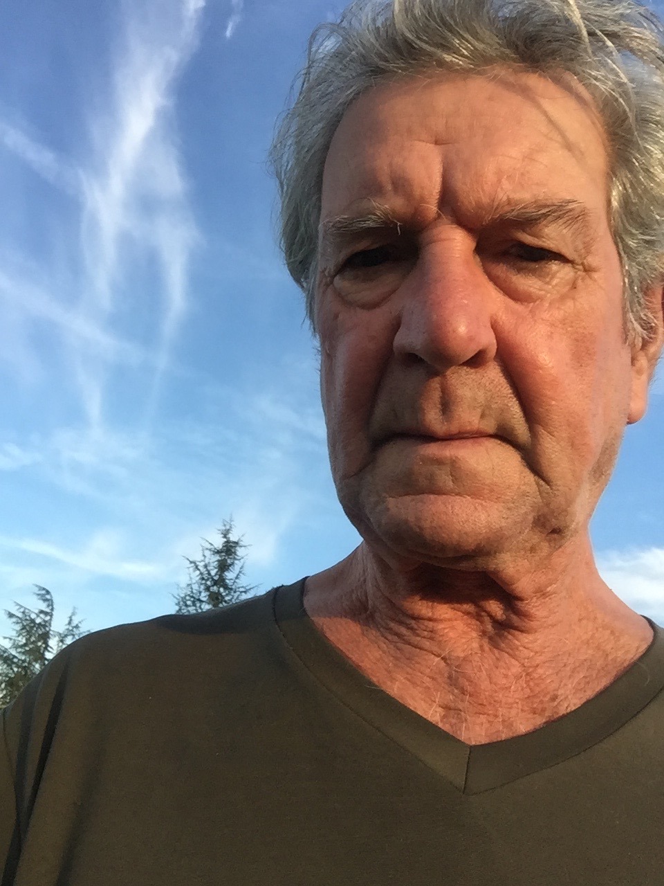 Perfil de Olivier